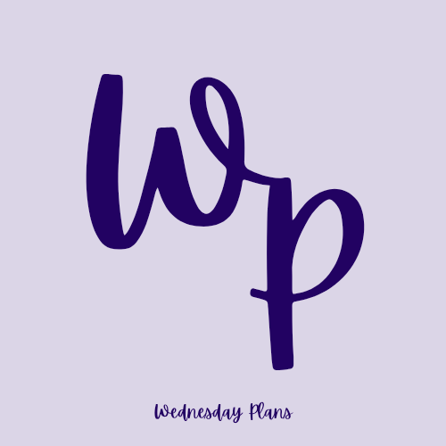 Mystery Goody Bags