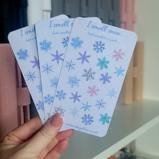 I smell snow Savings Challenge