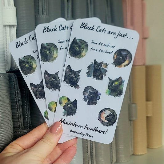 Black Cats Savings Challenge