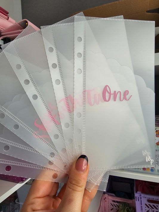 1-12 Cash Envelopes Frosted Cloud